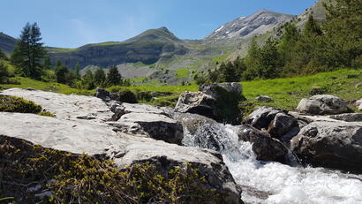 Col du Festre Col du Festre